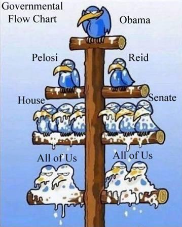 Government Flow Chart Cartoon